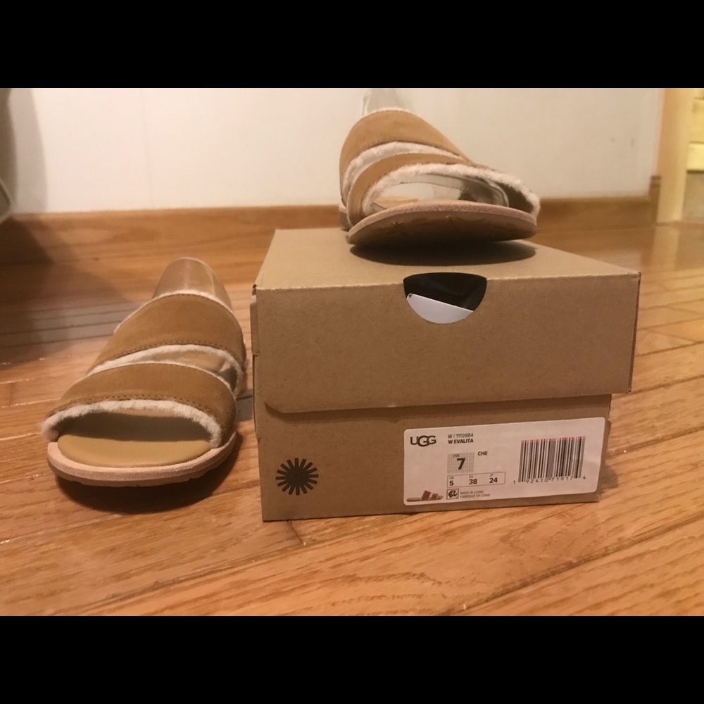 Ugg evalita - Picture 4 of 5